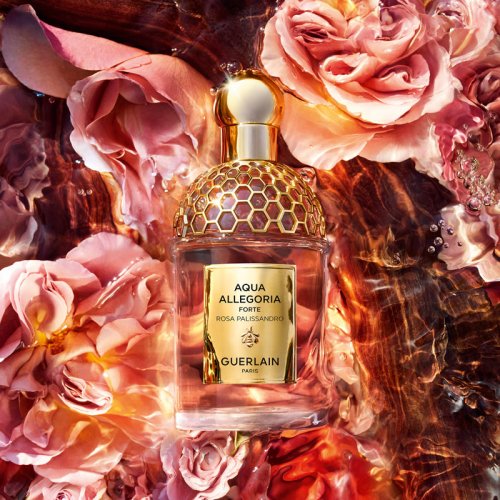 GUERLAIN Aqua Allegoria Forte - Rosa Palissandro - Eau de GUERLAIN Aqua Allegoria Forte - Rosa Palissandro - Eau de